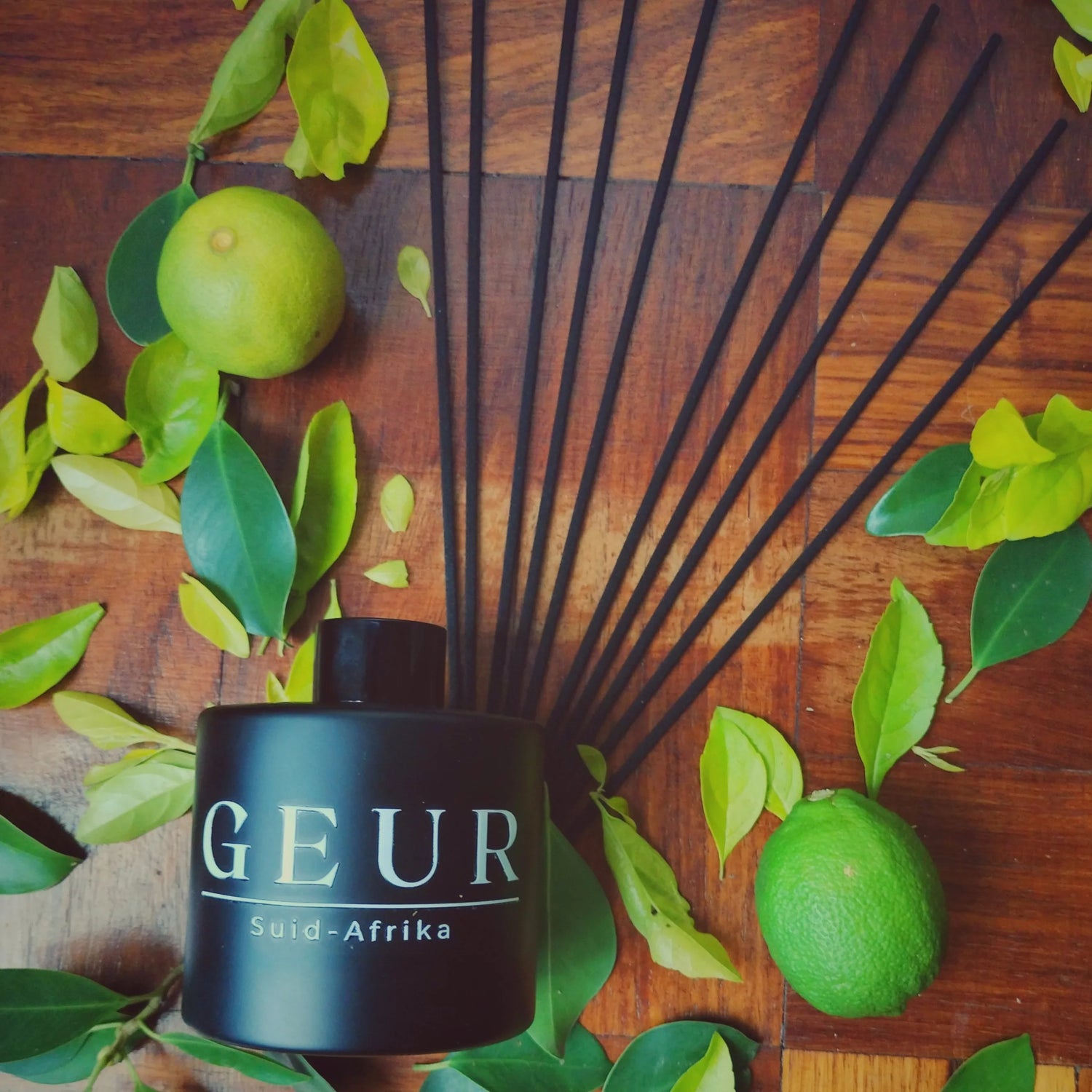 Home frrgrance diffuser by GEUR South Africa